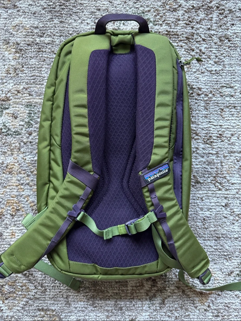 Patagonia Atom 18L Olive Green Backpack with Purple Accents